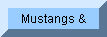 Goto Mustangs & Fast Things